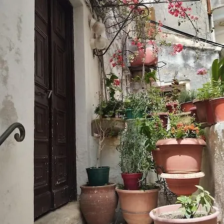 Hidden Garden Studio Corfu  Exterior photo